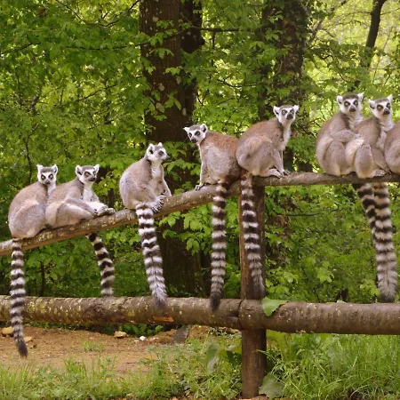 With Wi-fi, In Natural Surroundings